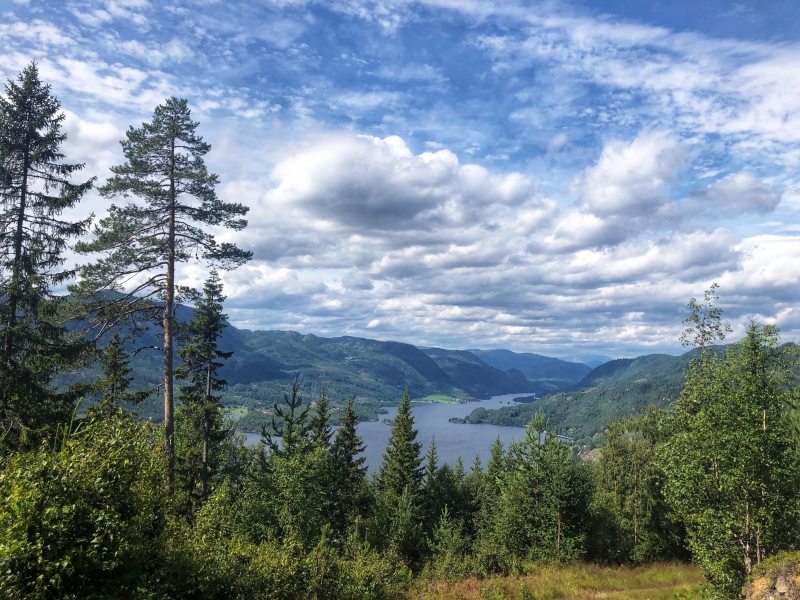Fjord in Norwegen